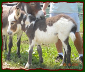 Click photo to enlarge image