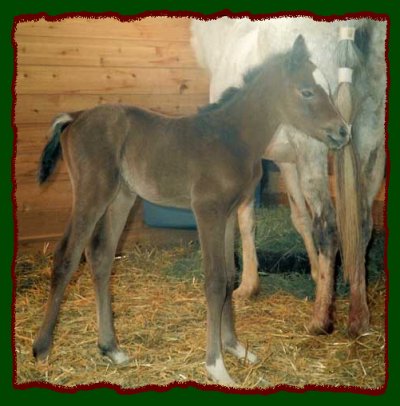 Click photo to enlarge image