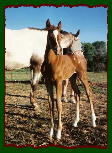 Click photo to enlarge image