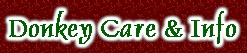 Donkey Care & Information