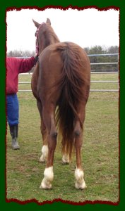 Click photo to enlarge image